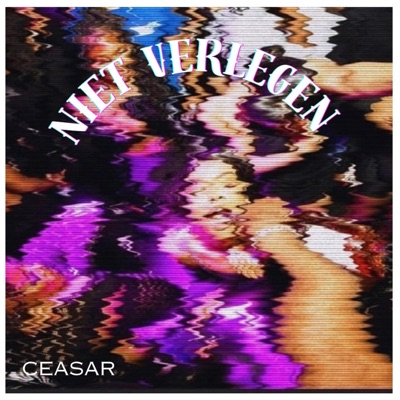 Niet verlegen - Single