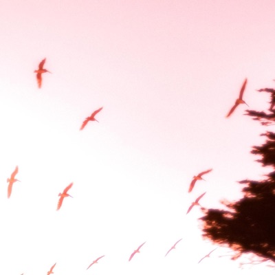 CAUGHT IN YOUR SPELL - Single