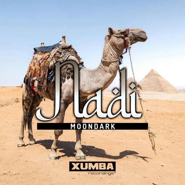 Nadi (Radio Mix)
