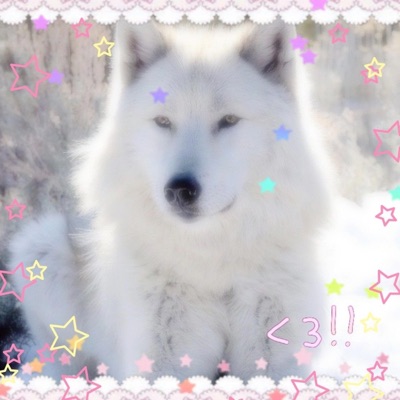 Team! >.< (feat. XIVoxy) - Single