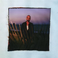 Palme - Single - Louis Dee & Frank d'Amato