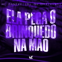 Ela Pega o Brinquedo Na Mão - Single - Dj Qz Official & Mc Daneve