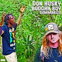 Summarize (feat. Buddha Boy & Dub School) - Single - Don Husky
