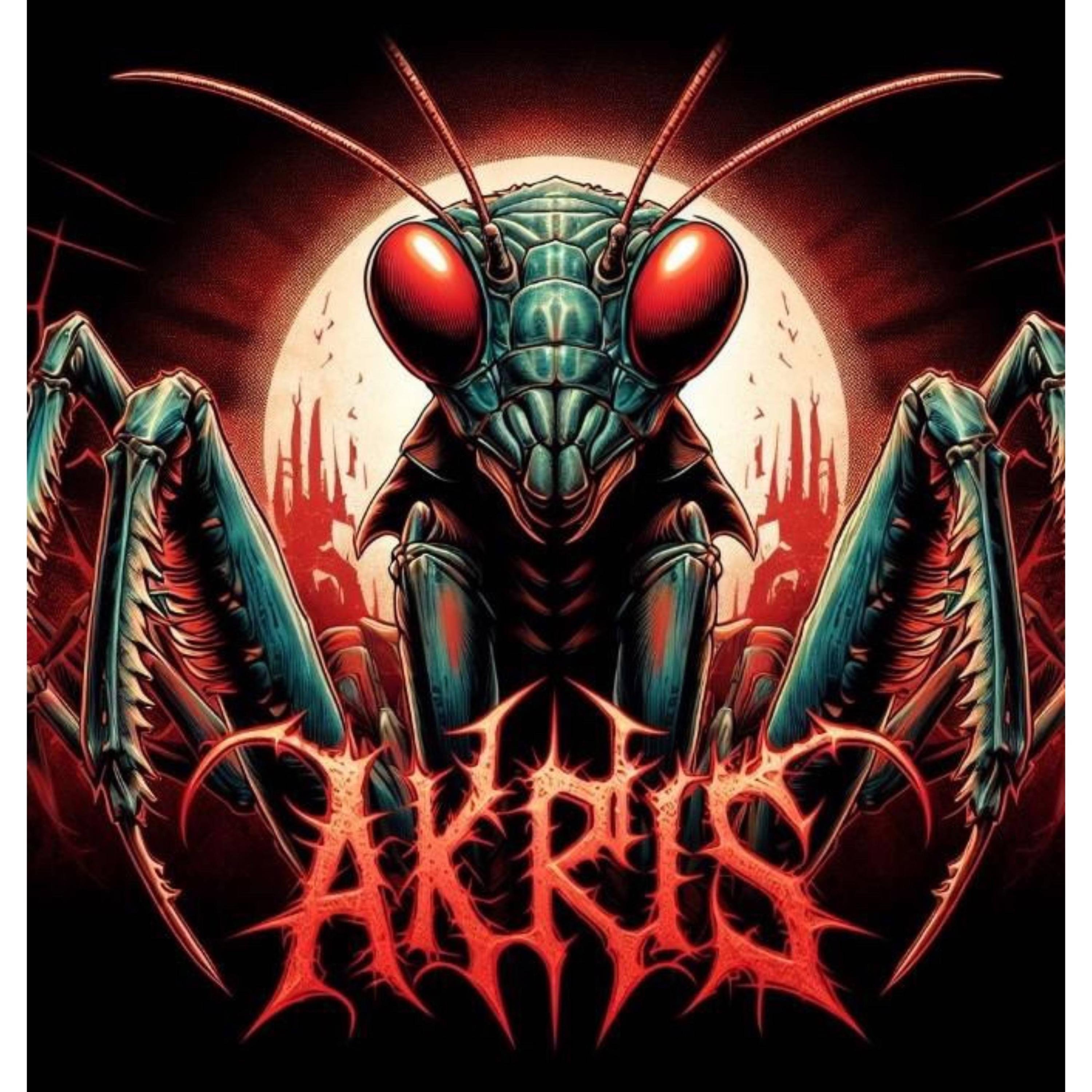 Lights in the Sky - Single