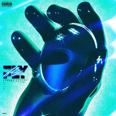 Fly (feat. Jaypo & Johnny Tyler) - Single