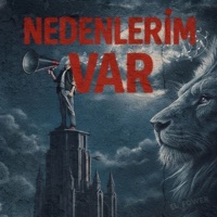 Nedenlerim Var - Single - Bars