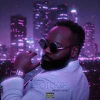 Voices - Darian King