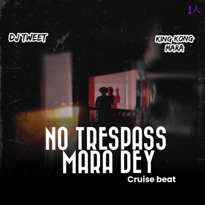 NO TRESPASS MARA DEY BEAT (feat. King Kong mara) - Single