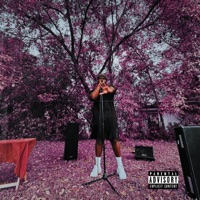 5/5 Hueman - Fresco Phoenix