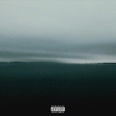 Out of Sight - Single