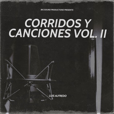 CORRIDOS Y CANCIONES VOL.2