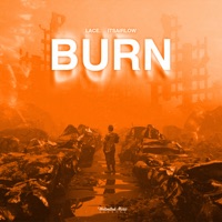 Burn (Drum & Bass) - Single - Lace & itsAirLow