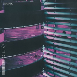 Want You Back Vypes & Mojay