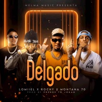 Delgado (feat. La Melma Music) - Single - Rochy RD, Prende to Johan, Lomiiel & Montana 70