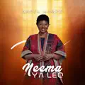 Neema Ya Leo