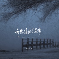 我期待的不是雪 (大雪版) - Single - Naiji Zhao