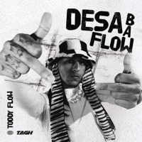 Desabaflow (feat. $AN) - Single - Toddy Flow