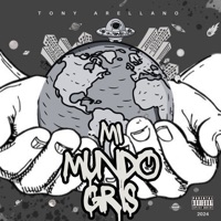 Mi Mundo Gris - Single - Tony Arellano