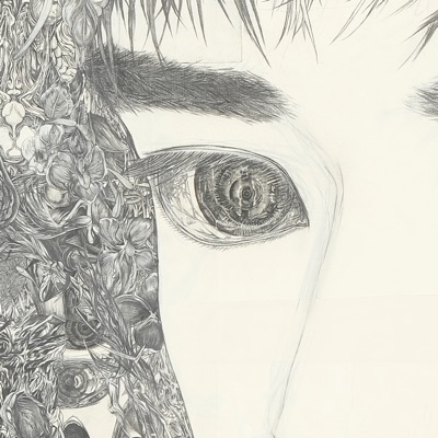 Hitoribun no chikara