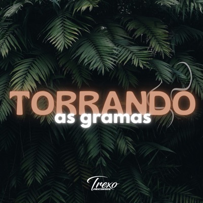 Torrando as Gramas (feat. Trexo Records) - Single