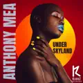 Under Skyland