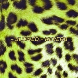 You Ain't Got Enough Clout (Slowed + Reverb) Renn Olympus