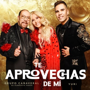 Te Aprovechas De Mí
