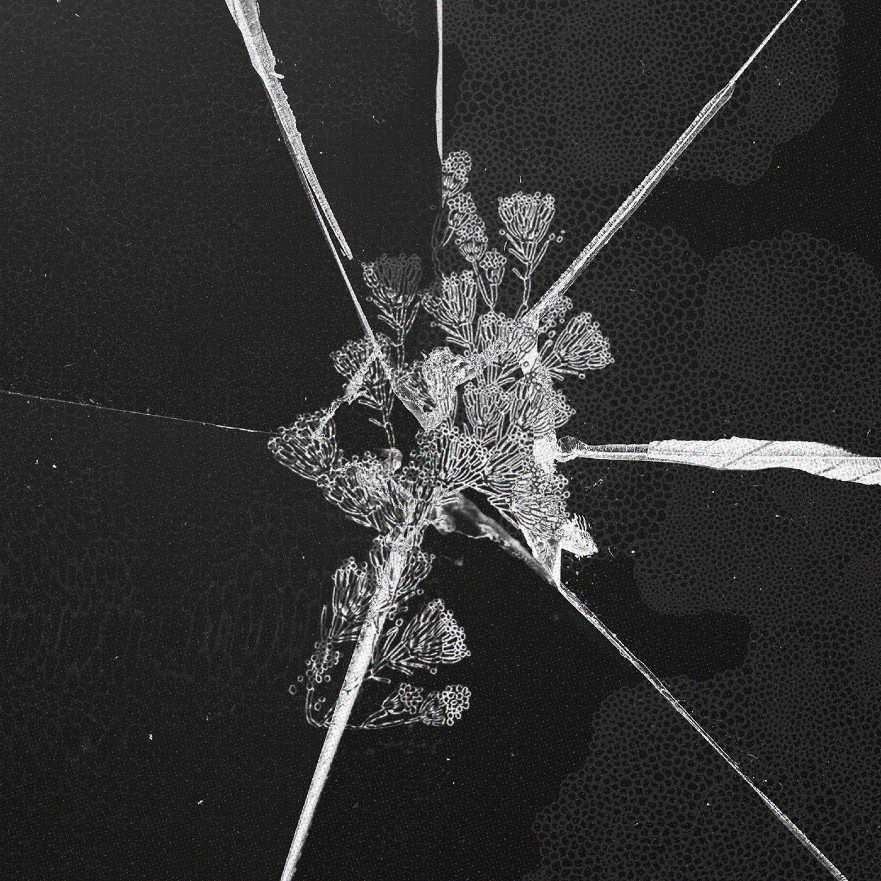 ka/la+ANOTHER:night. - Single