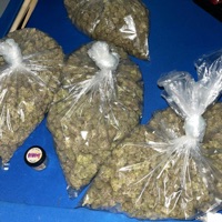 ACROBATIC - Single - Mikeboskii