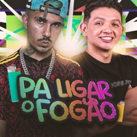 Pa Ligar o Fogão - Single - Gago