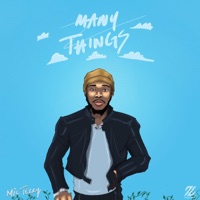 Many Things - Single - MIC Terry
