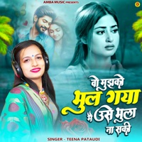 Wo Mujhko Bhul Gya Me Use Bhula Na Saki - Single - Teena Pataudi