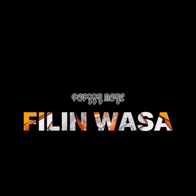 Filin Wasa - Single