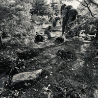 GTAL - Single - ex-tremities