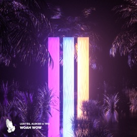 Woah WoW (feat. Tru) Leat'eq & Aleksei