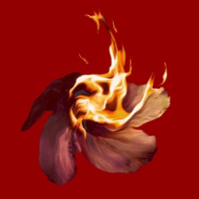 BIELY KVET - Single