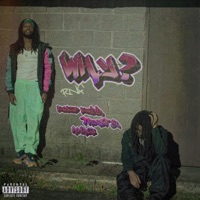 WHY? (feat. Trxst) - Single - Kyzo Kidd & anagi