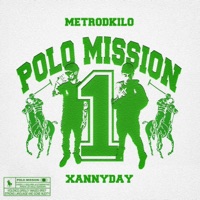 Polo Mission (feat. Fang4 & shyconeldry) - Single - METRODKILO