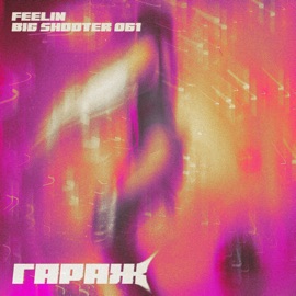 гараж (feat. BIG SHOOTER 061) Feelin
