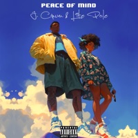 PEACE of MIND (Radio Edit) - Single - J. Crum & Lite Pole