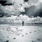 Birds Canticum 