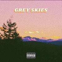 Grey Skies (feat. Pertinence) - Single - Jake Fonda