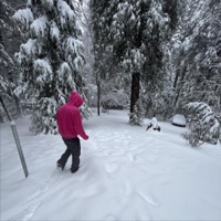 Forest of Piano (feat. Idkshy) - Single - liyokos