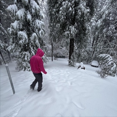 Forest of Piano (feat. Idkshy) - Single