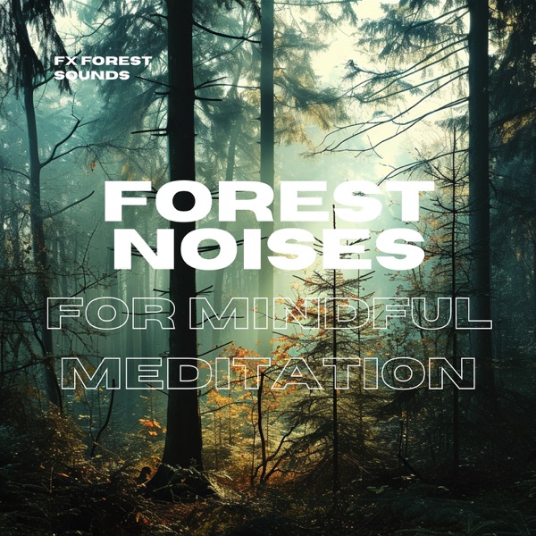 Forest Noises for Mindful Meditation