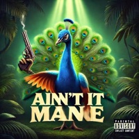 AINT IT MANE - Single - Stain Lick Records
