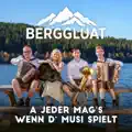 A Jeder Mag's Wenn d' Musi Spielt