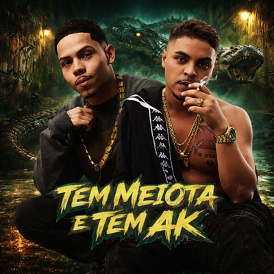 TEM MEIOTA E TEM AK (feat. IMPERIO DA PROMESSA) - Single