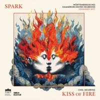Kiss of Fire - Spark & Württembergisches Kammerorchester
