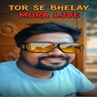 Tor Se Bhelay Mora Love (feat. DS MAHTO) - Single - Anshuman Kumar Saha